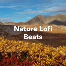 Various Artists - Nature Lofi Beats (2023) Mp3 320kbps [PMEDIA] ⭐️