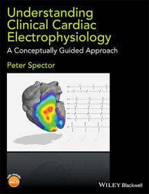 Understanding Clinical Cardiac Electrophysiology - A Conceptually Guided Approach