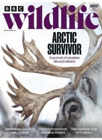 BBC Wildlife Magazine - January 2024