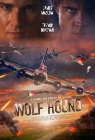【高清影视之家发布 】猎狼犬行动[中文字幕] Wolf Hound 2022 BluRay 1080p DTS-HDMA 5.1 x264-DreamHD