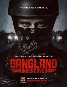 【高清剧集网发布 】黑帮卧底 第一季[全6集][无字片源] Gangland Undercover S01 1080p Hulu WEB-DL AAC 2.0 H.264-BlackTV