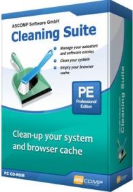 Cleaning Suite Professional 4.008 Cracked