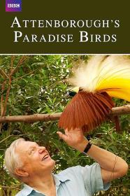 【高清影视之家发布 】爱登堡的极乐鸟世界[中文字幕] Attenborough's Paradise Birds 2015 1080p WEB-DL H264 AAC-SONYHD