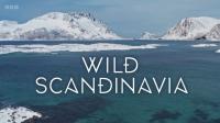 BBC Wild Scandinavia Series 1 1080p x265 AAC