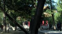 REMUX 1080p BD3D China Inheriting Temple Mansion And Cemetery Of Confucius 2012