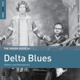 Various Artists - Rough Guide to Delta Blues (2016) FLAC [PMEDIA] ⭐️