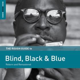 Various Artists - Rough Guide to Blind, Black & Blue (2019) FLAC [PMEDIA] ⭐️