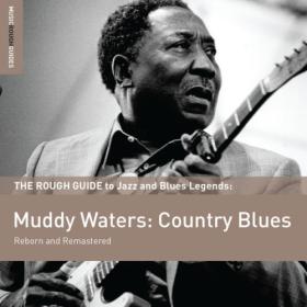 Muddy Waters - Rough Guide To Muddy Waters Country Blues (2004) FLAC [PMEDIA] ⭐️