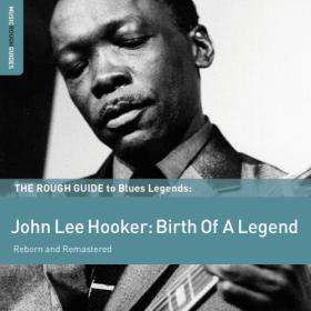 Various Artists - Rough Guide To John Lee Hooker (2011) FLAC [PMEDIA] ⭐️