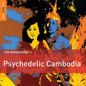 Various Artists - Rough Guide to Psychedelic Cambodia (2014) FLAC [PMEDIA] ⭐️