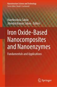 Iron Oxide-Based Nanocomposites and Nanoenzymes