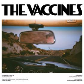 The Vaccines - Pick-Up Full Of Pink Carnations (2024) [24Bit] FLAC [PMEDIA] ⭐️