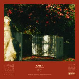 Casey - How To Disappear (2024) [24Bit-48kHz] FLAC [PMEDIA] ⭐️