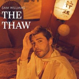Sam Williams - The Thaw (2024) Mp3 320kbps [PMEDIA] ⭐️