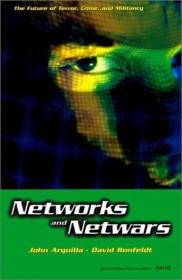 Networks and Netwars The Future of Terror Crime and Militancy