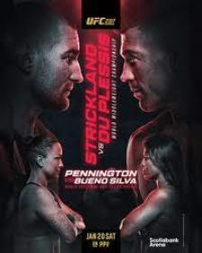 UFC 297 Prelims 1080p WEB-DL H264 Fight-BB