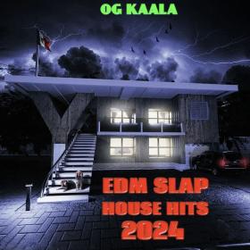 OG KAALA - Edm Slap House Hits 2024 - 2024 - WEB FLAC 16BITS 44 1KHZ-EICHBAUM