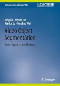 Video Object Segmentation - Tasks, Datasets, and Methods