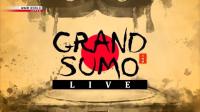 NHK Grand Sumo Live January 2024 720p HDTV x265 AAC MVGroup Forum