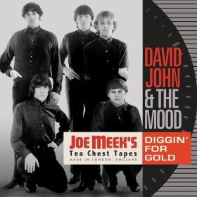 David John & The Mood - Diggin' For Gold-Joe Meek's Tea Chest Tapes (2023)⭐FLAC