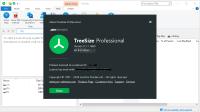 TreeSize Professional v9.1.1.1869 (x64) Multilingual Portable