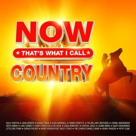 Various Artists - NOW Thats What I Call Country (4CD) (2024) Mp3 320kbps [PMEDIA] ⭐️