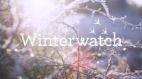 BBC Winterwatch Red Button 2024 1080p x265 AAC