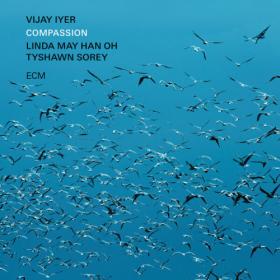Vijay Iyer - Compassion (2024) [24Bit-96kHz] FLAC [PMEDIA] ⭐️