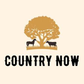 Various Artists - Country Now (2024) Mp3 320kbps [PMEDIA] ⭐️