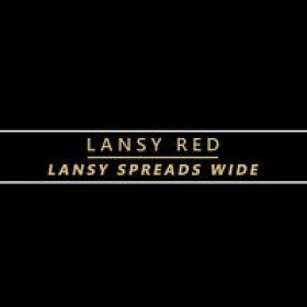KarupsOW 23 10 15 Lansy Red Lansy Spreads Wide XXX 720p HEVC x265 PRT[XvX]