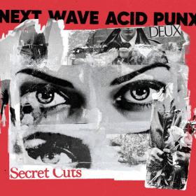 Curses - Next Wave Acid Punx DEUX - Secret Cuts - 2024 - WEB FLAC 16BITS 44 1KHZ-EICHBAUM