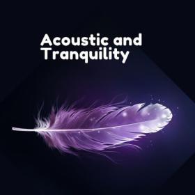 Various Artists - Acoustic and Tranquility (2024) Mp3 320kbps [PMEDIA] ⭐️