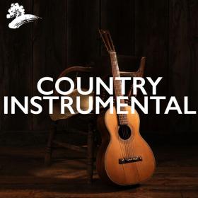 Jack Jezzro - Instrumental Country Music - 2024 - WEB FLAC 16BITS 44 1KHZ-EICHBAUM