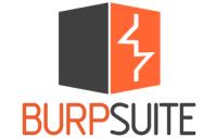Burp Suite Professional 2023.12.1.5