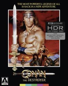 Conan the Barbarian 1982 BDREMUX 2160p HDR DVP8 seleZen