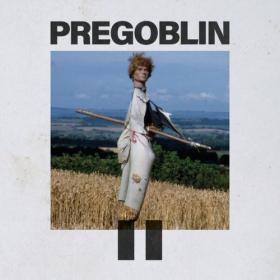 PreGoblin - PREGOBLIN II (2024) [24Bit-48kHz] FLAC [PMEDIA] ⭐️
