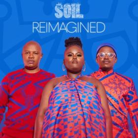 The Soil - Reimagined (2024) [24Bit-44.1kHz] FLAC [PMEDIA] ⭐️