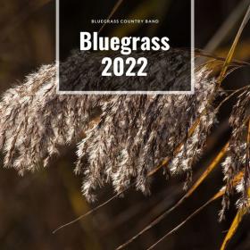 VA - Bluegrass Country Band - Bluegrass 2022 - WEB mp3 320kbps-EICHBAUM