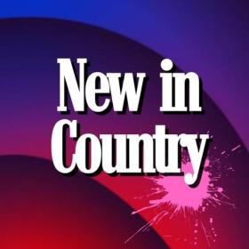 Various Artists - New in Country (2024) Mp3 320kbps [PMEDIA] ⭐️