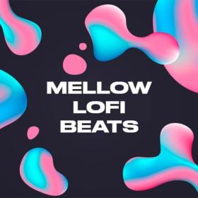 Various Artists - Mellow Lofi Beats (2024) Mp3 320kbps [PMEDIA] ⭐️
