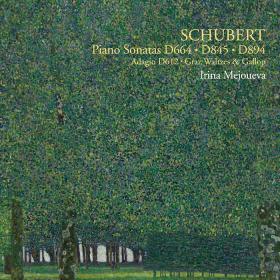 Schubert - Piano Sonatas D  664, D  845, D  894, Etc  - Irina Mejoueva (2022) [24-96]