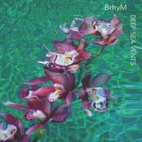 BrhyM - Deep Sea Vents (2024) [24Bit-48kHz] FLAC [PMEDIA] ⭐️