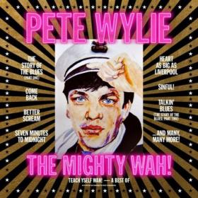 Pete Wylie & The Mighty WAH! - Teach Yself WAH!- A Best Of (2024 Remaster) (2024) [24Bit-44.1kHz] FLAC [PMEDIA] ⭐️
