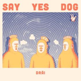 Say Yes Dog - DRÄI (2024) [24Bit-44.1kHz] FLAC [PMEDIA] ⭐️
