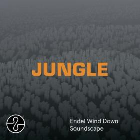 The Blaze - JUNGLE (Wind Down Soundscape) (2024) [24Bit-48kHz] FLAC [PMEDIA] ⭐️