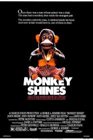 【高清影视之家发布 】异魔[简繁英字幕] Monkey Shines 1988 1080p BluRay x265 10bit DTS-SONYHD