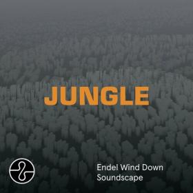 The Blaze - JUNGLE (Wind Down Soundscape) (2024) Mp3 320kbps [PMEDIA] ⭐️
