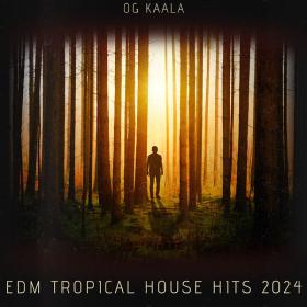 OG KAALA - Edm Tropical House Hits 2024 - 2024 - WEB mp3 320kbps-EICHBAUM