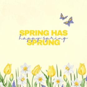 Various Artists - spring has sprung  happy spring (2024) Mp3 320kbps [PMEDIA] ⭐️