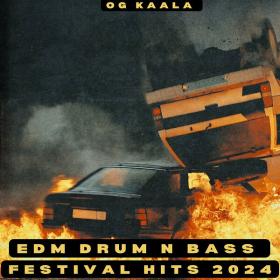 OG KAALA - Edm Drum n Bass Festival Hits 2024 - 2024 - WEB mp3 320kbps-EICHBAUM